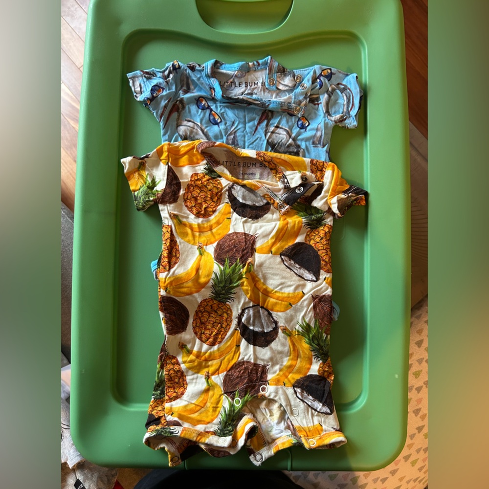 (2) Little Bum Bums Baby Rompers Set